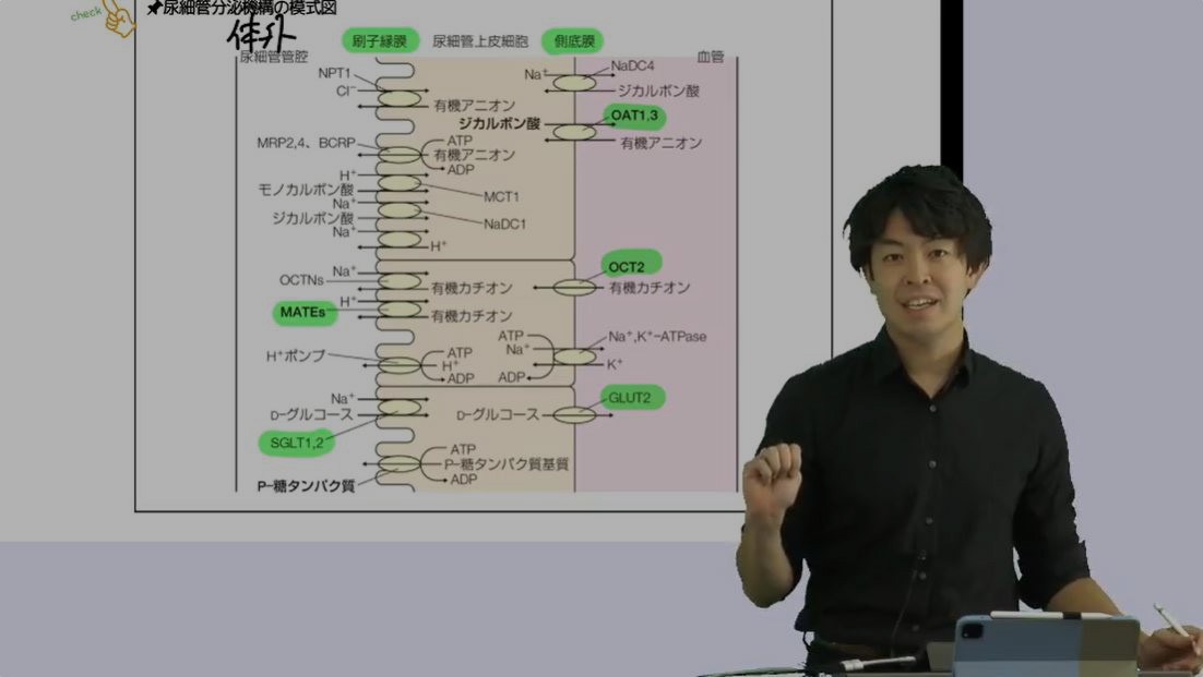 薬ゼミ オンライン教室